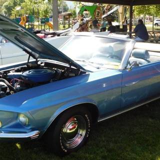 1969 stang con blue