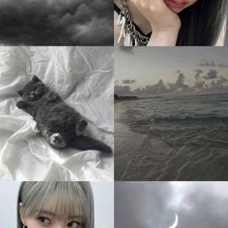 Baby Monster -  Rami