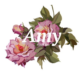 Amy Winehouse Singer-songwriter