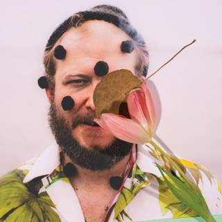 Bon Iver Band