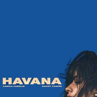 Daddy Yankee Puerto Rican rapper and actor