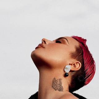 Demi Lovato American singer and songwriter