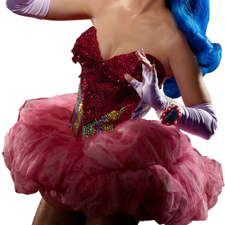 Katy Perry American singer-songwriter and TV personality