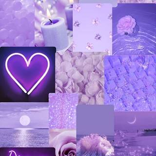 For the purple people 