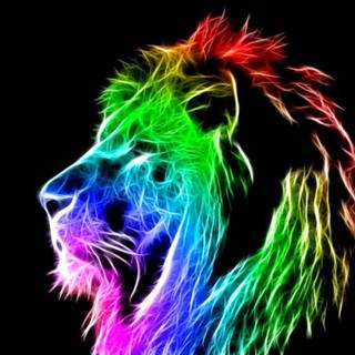 Cool Lion