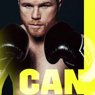 Canelo Álvarez Mexican professional boxer