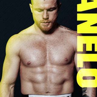 Canelo Álvarez Mexican professional boxer