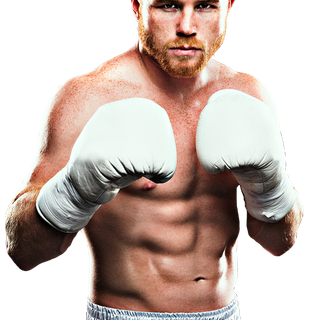 Canelo Álvarez Mexican professional boxer