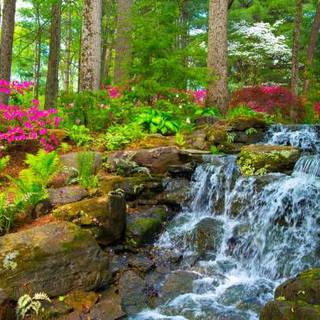 waterfall and flowers