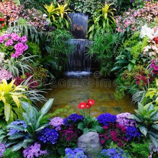 Flowers and waterfall