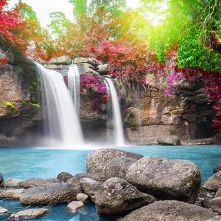 waterfall and flowers