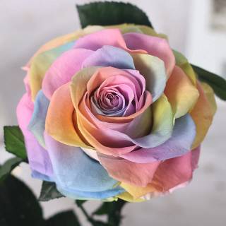 tie diy rose