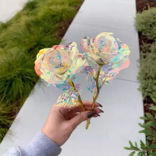 pretty rose