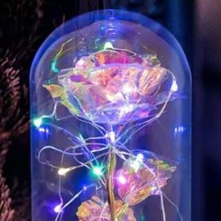 love this comment if u like