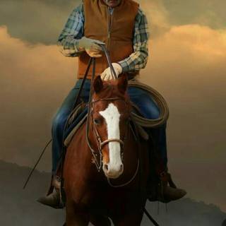 CowBoy HD Wallpaper