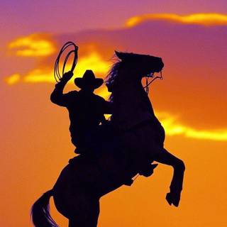 CowBoy HD Wallpaper