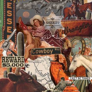 CowGirl HD Wallpaper