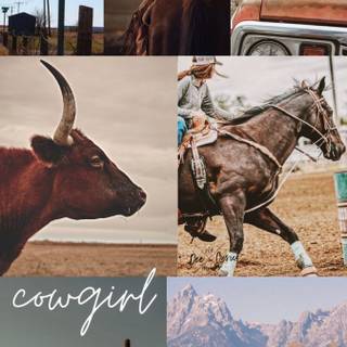 CowGirl HD Wallpaper