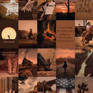 CowGirl HD Wallpaper