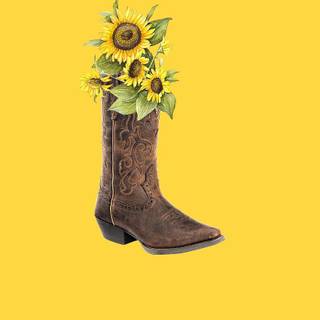 CowGirl HD Wallpaper