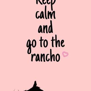 CowGirl HD Wallpaper