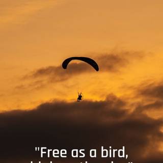 Paragliding HD Wallpaper 4K