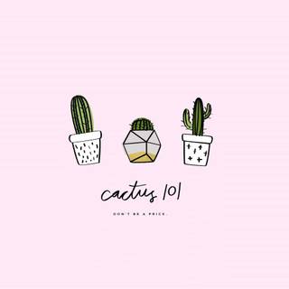 Cactus