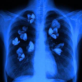 when u fall in love but then it all goes away-