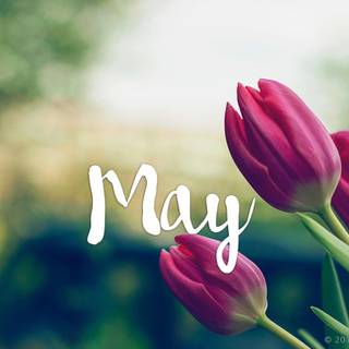 Month