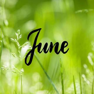Month