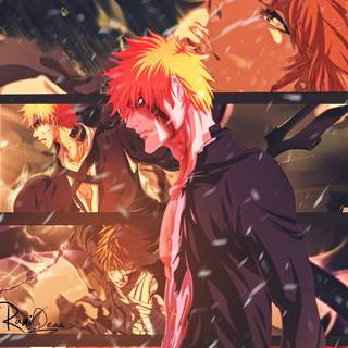 Ichigo Wallpaper