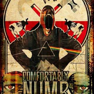 Pink Floyd Rock band - Pink Floyd are an English rock band formed in London in 1965. Gaining an early following as one of the first British psychedelic groups, they were distinguished by their extended compositions, sonic experiments, philosophical lyrics, and elaborate live shows