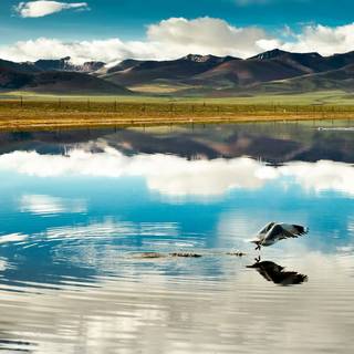 Failed fishing attempt... Maybe next time