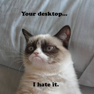 grumpy cat  meme background 4k