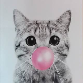 Cat blowing a bubble 