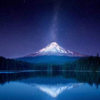 Can be used for future profile pictures