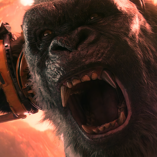 Godzilla x Kong: The New Empire