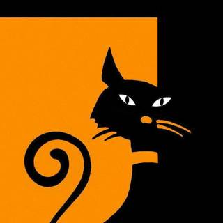 Cute Cats iPhone Wallpaper 