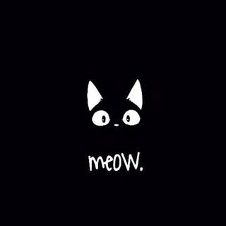 Cute Cats iPhone Wallpaper 