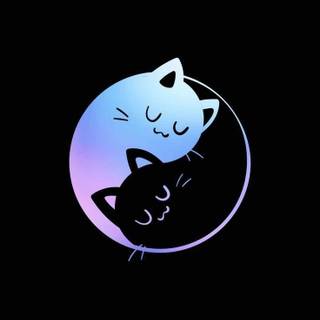 Cute Cats iPhone Wallpaper 
