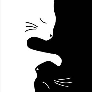 Cute Cats iPhone Wallpaper 