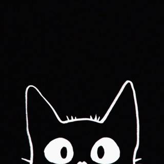 Cute Cats iPhone Wallpaper 