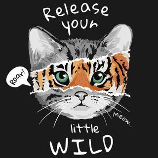Cute Cats iPhone Wallpaper 