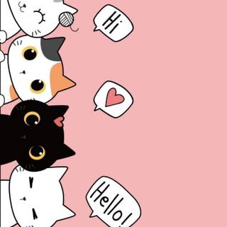 Cute Cats iPhone Wallpaper 