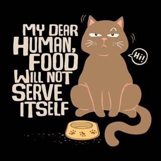 Cute Cats iPhone Wallpaper 