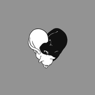 Cute Cats iPhone Wallpaper 
