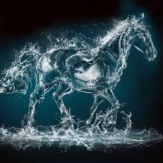 Water horse
