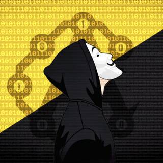 Anonymous Hacker Chronicles