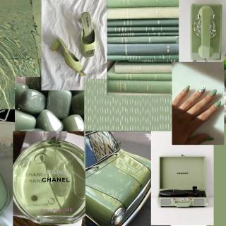 Aesthetic Green  Wallpaper