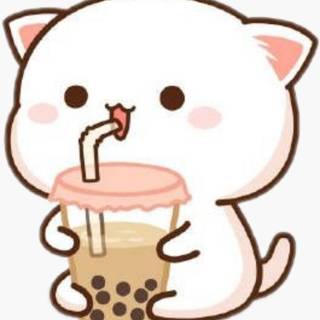 kitty drnking boba tea